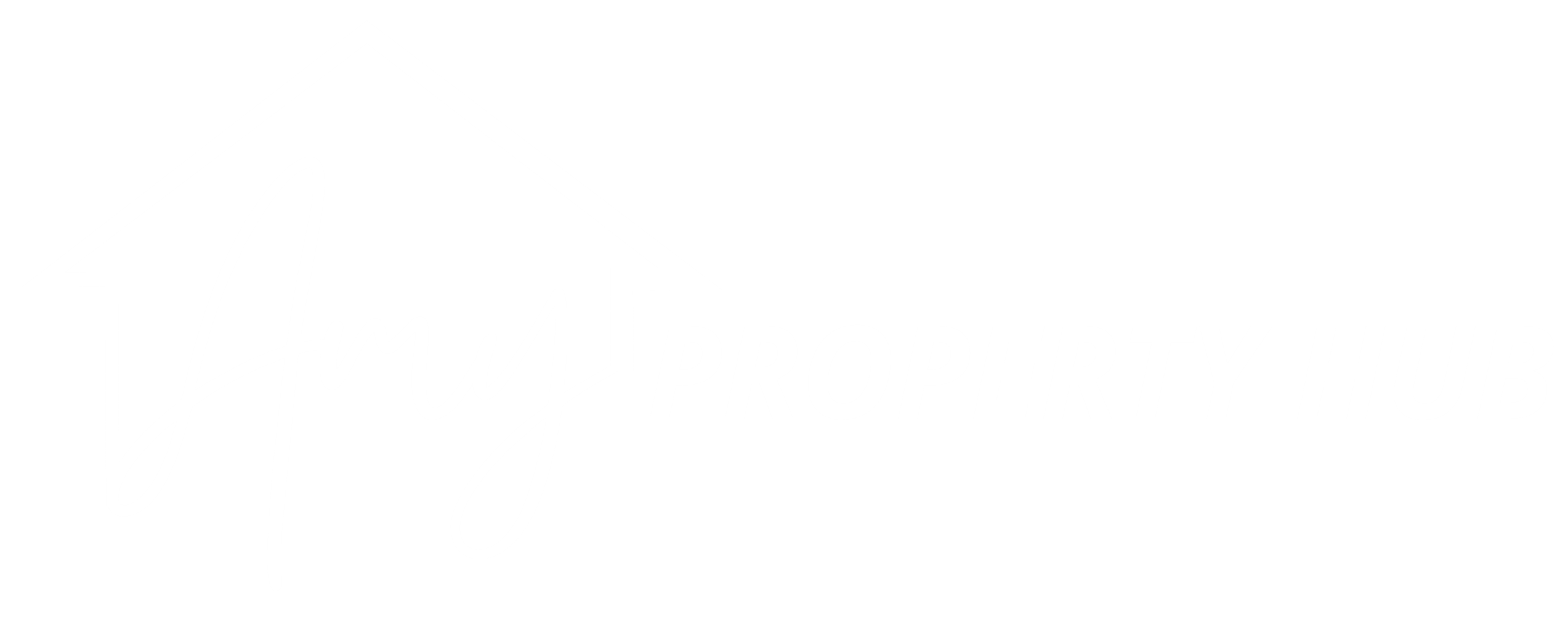 A.N. Realty Group Co., Ltd.